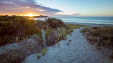 تفسير الجبه في الحلم ولبس الجبة