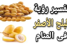 تفسير حلم رؤية البلح الأصفر في المنام