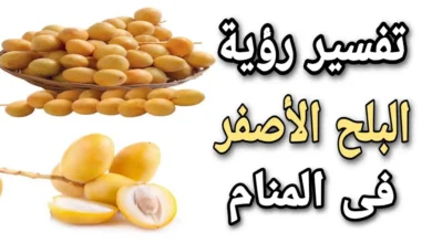 تفسير حلم رؤية البلح الأصفر في المنام