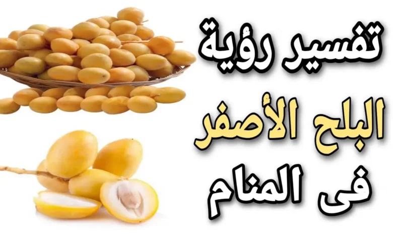 تفسير حلم رؤية البلح الأصفر في المنام
